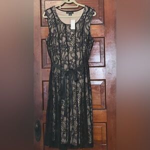Elegant Black Lace Dress